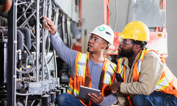 Best Affordable Electrician  in Meadow Vista, CA